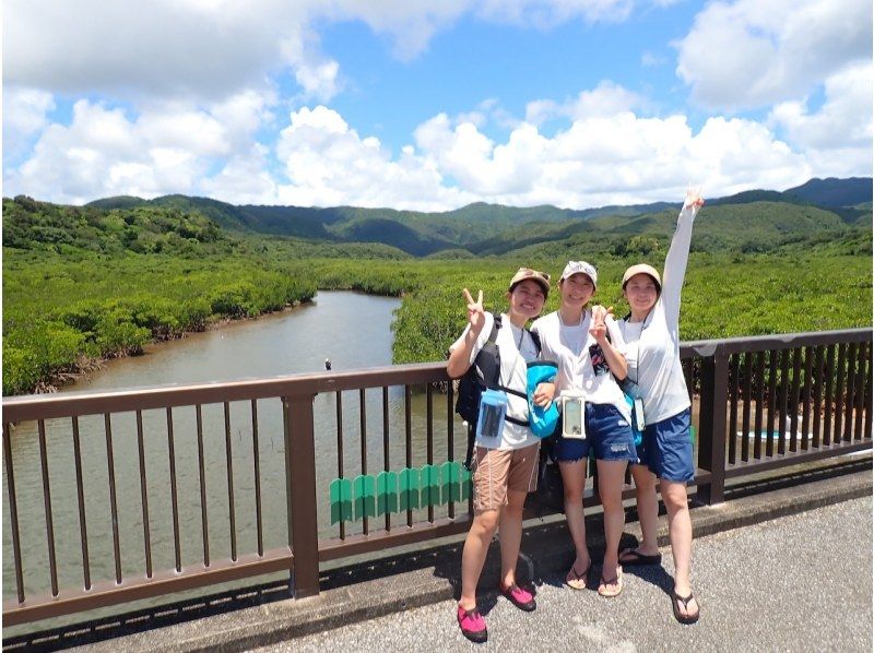 【西表島／半日】「島の認定ガイド」と行くジャングルSUP｜世界自然遺産のマングローブ探検（石垣島日帰りOK／写真・動画データ付）の紹介画像