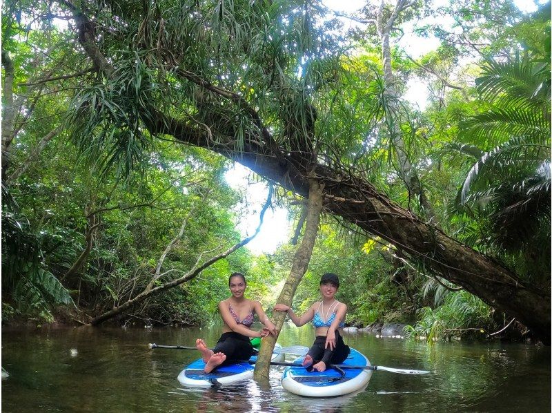 【西表島／半日】「島の認定ガイド」と行くジャングルSUP｜世界自然遺産のマングローブ探検（石垣島日帰りOK／写真・動画データ付）の紹介画像