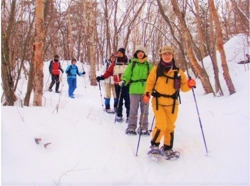 あさま軽井沢 長野 群馬 スノーシューハイキング半日体験 冬の森スノー 初めて こども 家族 みんなで雪遊び 冬の自然満喫スノーシュー アクティビティジャパン