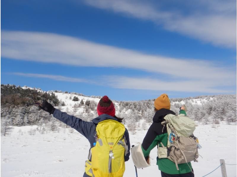 【Nagano · Karuizawa】 Snowshoe hiking "Snowy field backcountry" Powder snow enjoyment ☆ Asama volcano areaの紹介画像