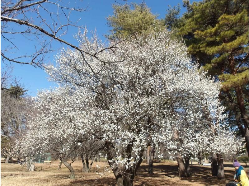 [ Tokyo &middot; Okutama ] 4/21 held! Canadian canoeing &times; aerial yoga experienceの紹介画像