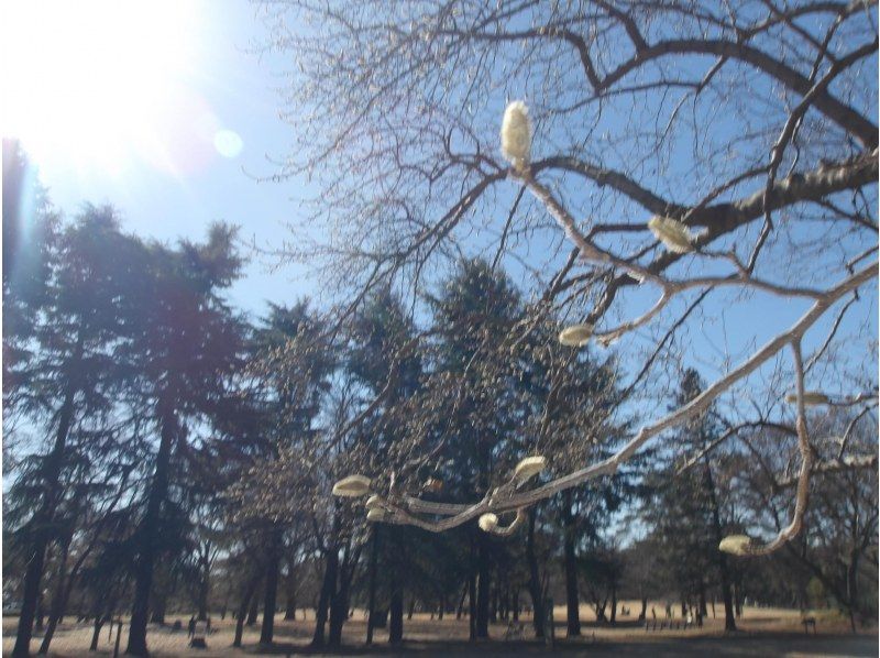 [ Tokyo &middot; Okutama ] 4/21 held! Canadian canoeing &times; aerial yoga experienceの紹介画像