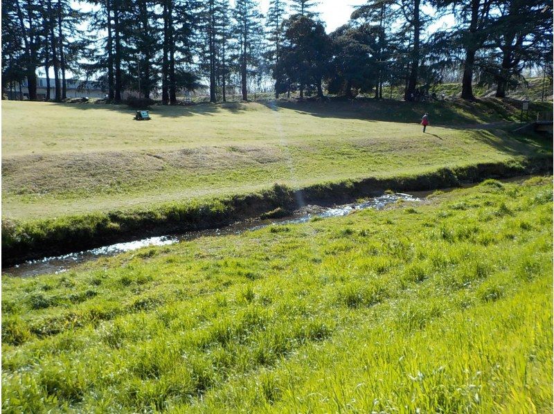 [ Tokyo &middot; Okutama ] 4/21 held! Canadian canoeing &times; aerial yoga experienceの紹介画像