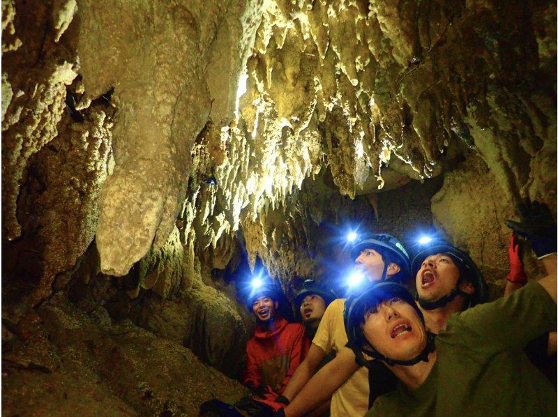 [Iriomote Island/half day] Local coupon target! World Heritage Great Adventure Tour (Selectable Mangrove SUPor Canoe & Limestone Cave Exploration) [Super Summer Sale Underway! ]の紹介画像