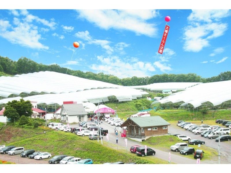 【Hokkaido / Ashibetsu】 Cherry hunting (Nanyang noodles)の紹介画像