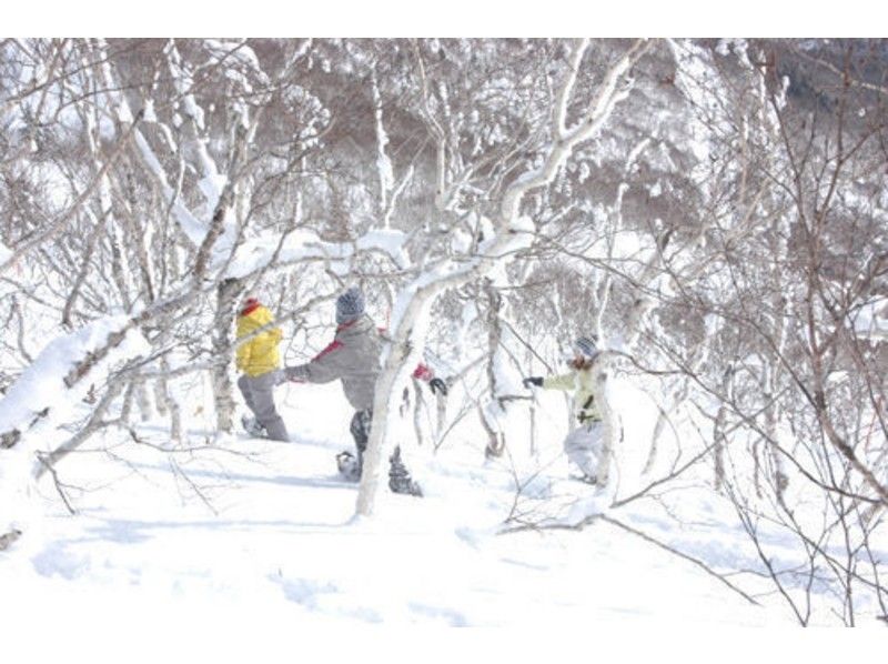 [北海道·十勝] Sahoro滑雪勝地雪上徒步下坡（半天課程）の紹介画像