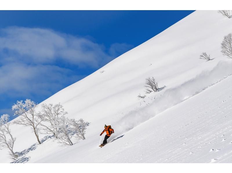 Backcountry Popular Attraction Snowboarder sliding down the slope