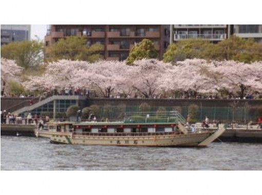 東京隅田川 花見 お花見屋形船 乗合船 ２名様より受付中です 屋形船石川丸 アクティビティジャパン