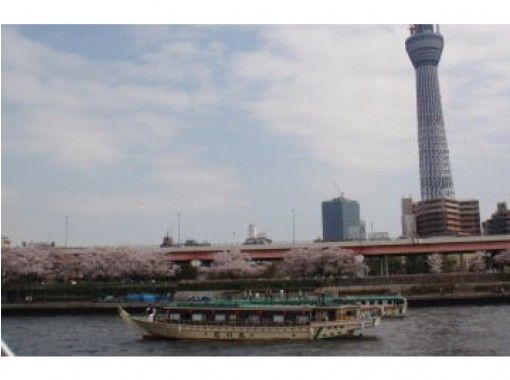 東京隅田川 花見 お花見屋形船 乗合船 ２名様より受付中です 屋形船石川丸 アクティビティジャパン