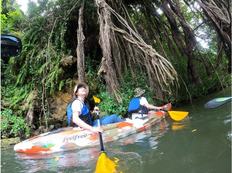 Winter sale underway! Central main island/convenient access! Mangrove Kayak Tour ★ [Same-day reservations possible] Tour image gift!の紹介画像