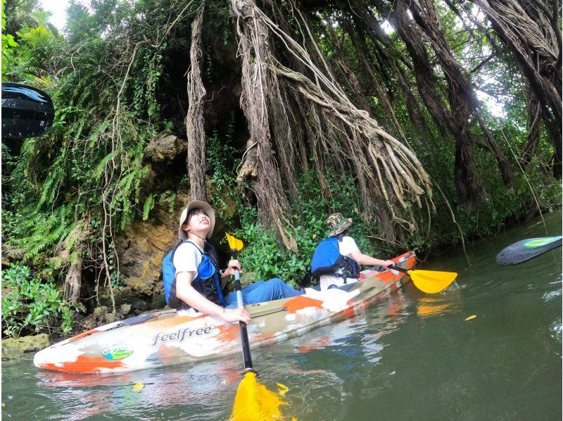 Mangrove Kayak Tour [Reservations available on the day] Tour images included! Suitable for ages 2 and up, popular with families, couples, and girls' trips! Central main island, easy accessの紹介画像