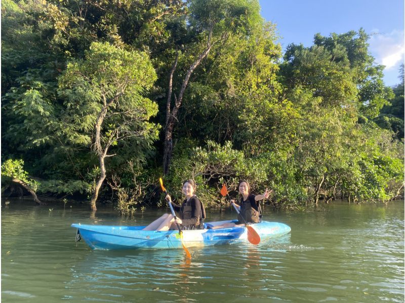 マングローブカヤックツアー【当日予約可】ツアー画像プレゼント！２歳からOK、家族・カップル・女子旅に人気♪本島中部・アクセス便利の紹介画像