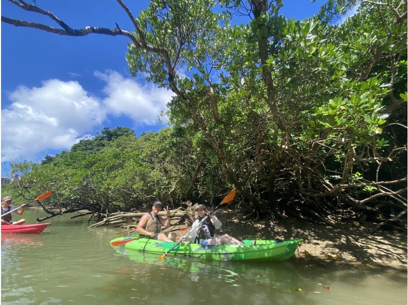 マングローブカヤックツアー【当日予約可】ツアー画像プレゼント！２歳からOK、家族・カップル・女子旅に人気♪本島中部・アクセス便利の紹介画像