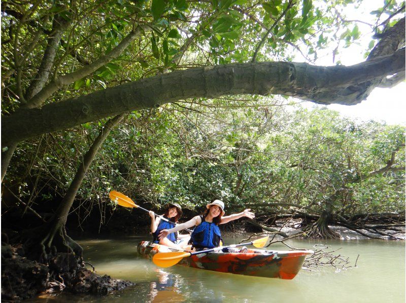 Mangrove Kayak Tour [Reservations available on the day] Tour images included! Suitable for ages 2 and up, popular with families, couples, and girls' trips! Central main island, easy accessの紹介画像