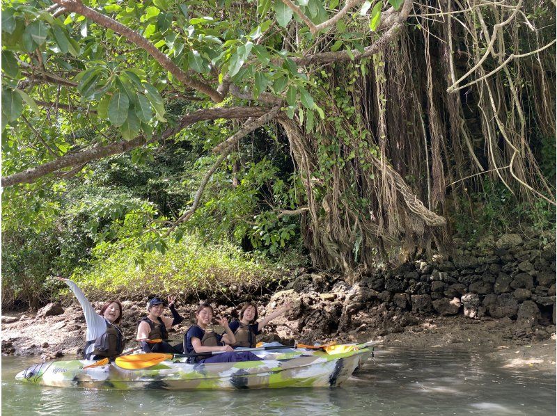 マングローブカヤックツアー【当日予約可】ツアー画像プレゼント！２歳からOK、家族・カップル・女子旅に人気♪本島中部・アクセス便利の紹介画像