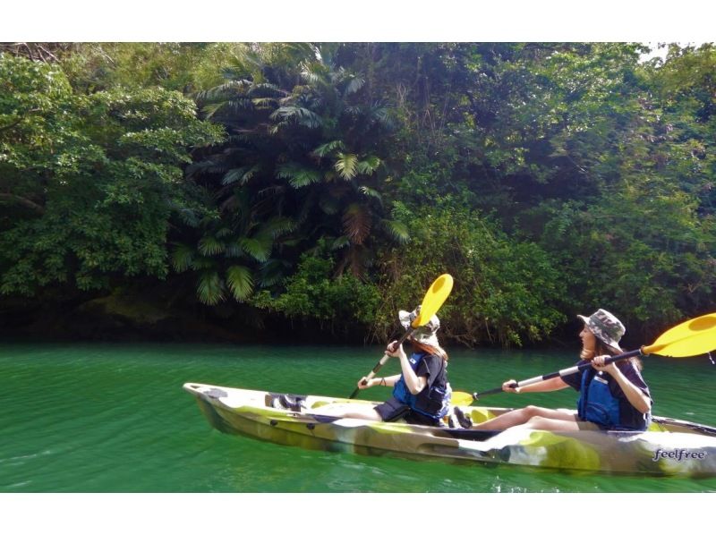 Winter sale underway! Central main island/convenient access! Mangrove Kayak Tour ★ [Same-day reservations possible] Tour image gift!の紹介画像