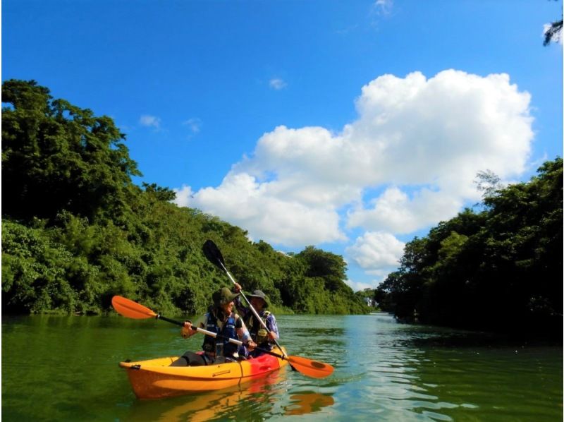 Mangrove Kayak Tour [Reservations available on the day] Tour images included! Suitable for ages 2 and up, popular with families, couples, and girls' trips! Central main island, easy accessの紹介画像