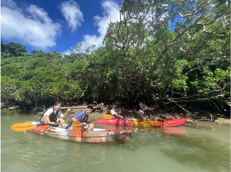 主岛中心区，交通便利！ ★红树林皮艇之旅★距机场45分钟！ &ldquo;三密&rdquo;措施是完美的！随时到达并返回！旅游形象礼物★の紹介画像