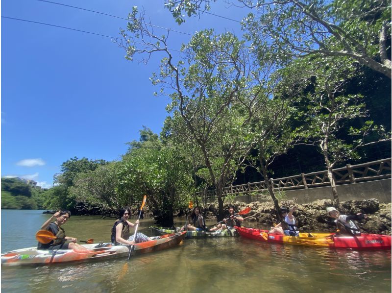 主岛中心区，交通便利！ ★红树林皮艇之旅★距机场45分钟！ &ldquo;三密&rdquo;措施是完美的！随时到达并返回！旅游形象礼物★の紹介画像