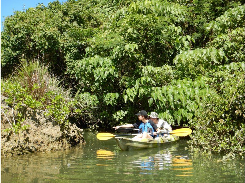 Mangrove Kayak Tour [Reservations available on the day] Tour images included! Suitable for ages 2 and up, popular with families, couples, and girls' trips! Central main island, easy accessの紹介画像