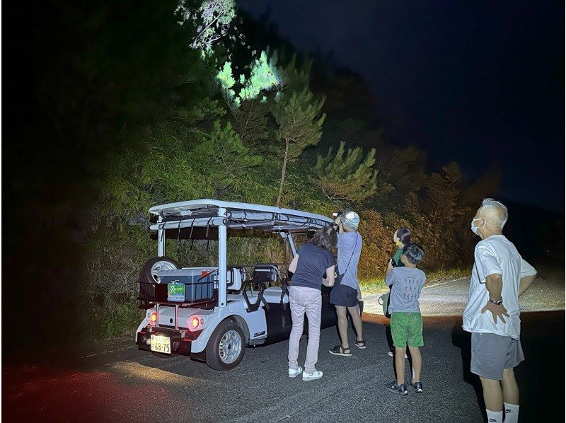 【鹿児島・奄美大島】電気自動車で行く奄美大島ナイトツアー、アマミノクロウサギと未体験の夜の冒険！（1名様からOKです）の紹介画像
