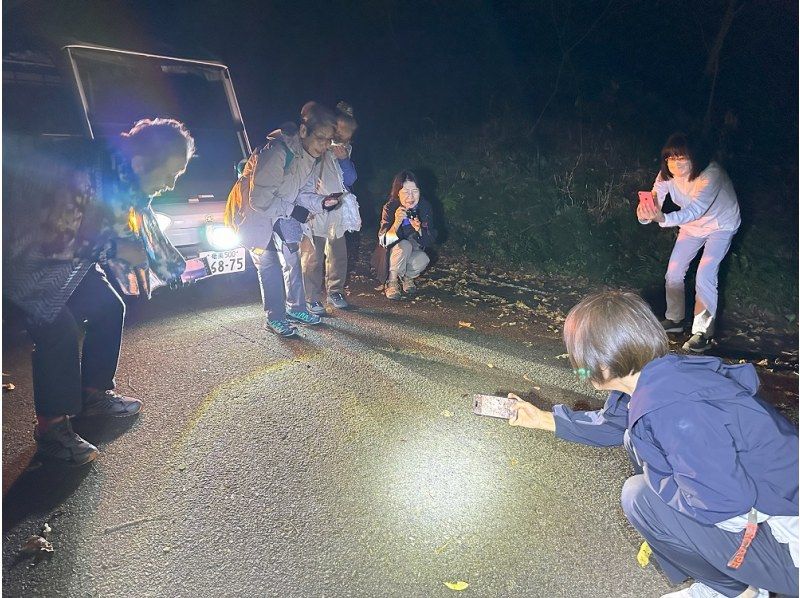 【鹿児島・奄美大島】電気自動車で巡る感動の体験「大自然旅行」ナイトツアーへ！の紹介画像
