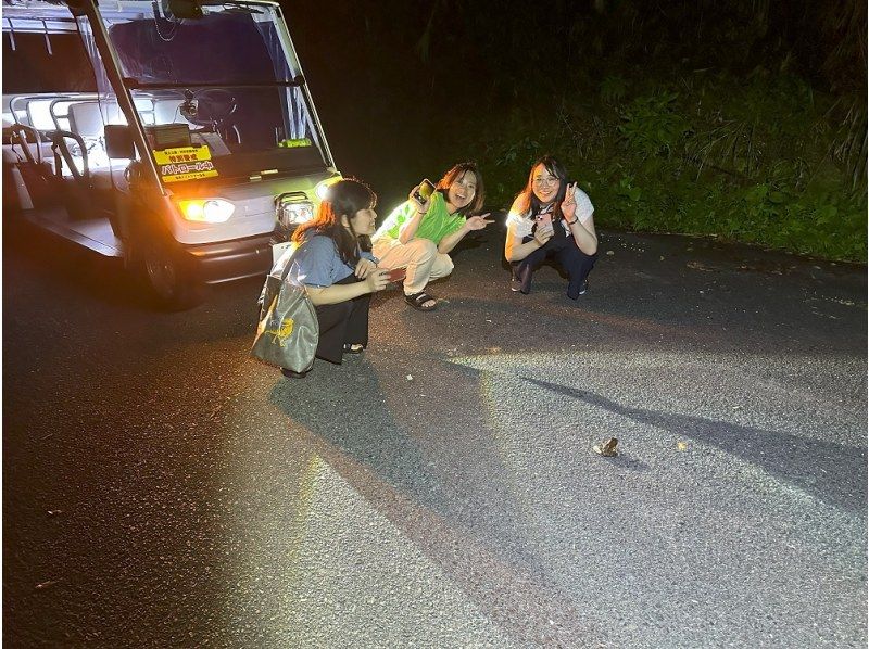 【鹿児島・奄美大島】電気自動車で巡る感動の体験「大自然旅行」ナイトツアーへ！の紹介画像