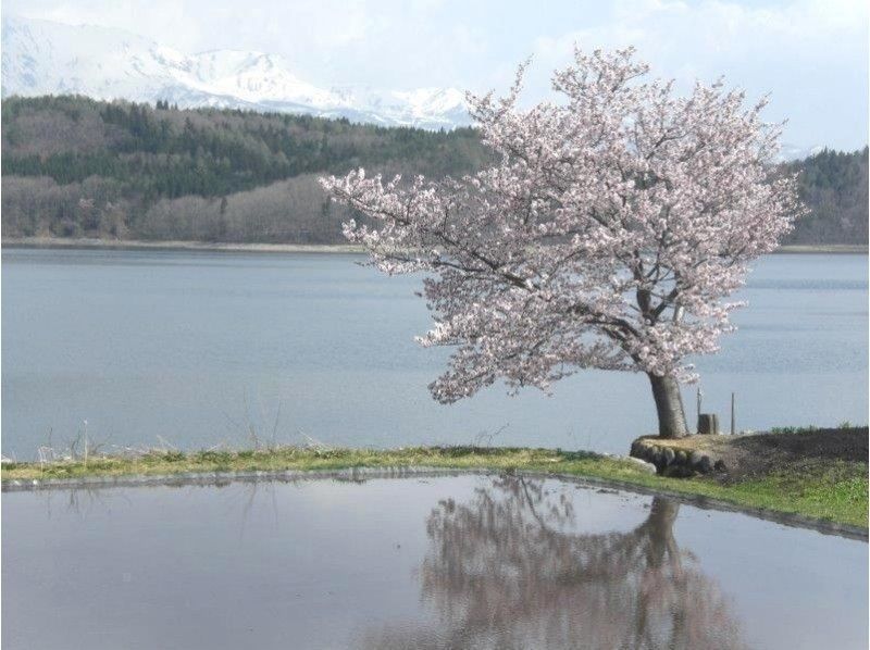 【長野縣大町市】租一輛腳踏車，悠閒地騎在北阿爾卑斯山腳下的信濃大町。騎行路線包括環遊青木湖、青木湖和中綱湖以及仁科湖。の紹介画像