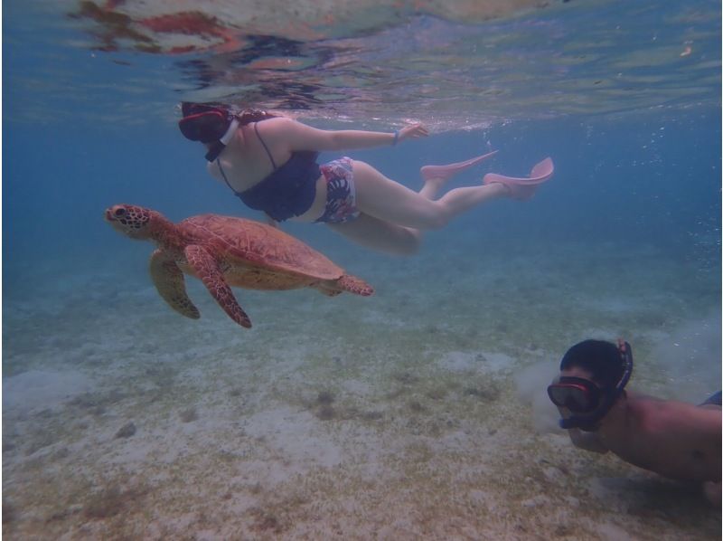 [沖繩/宮古島]春季促銷正在進行中！迅速受到女性和兒童的歡迎！海龜珊瑚礁、熱帶魚浮潛和美人魚照片在壯觀的海灘の紹介画像