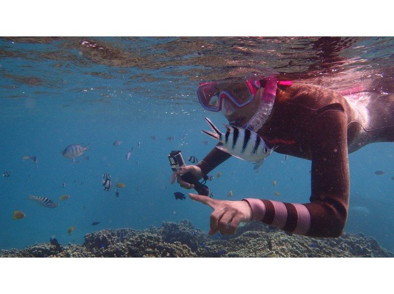 [冲绳/宫古岛]在女性和儿童中的人气正在迅速增加！海龟珊瑚礁、热带鱼浮潜和美人鱼照片在壮观的海滩の紹介画像