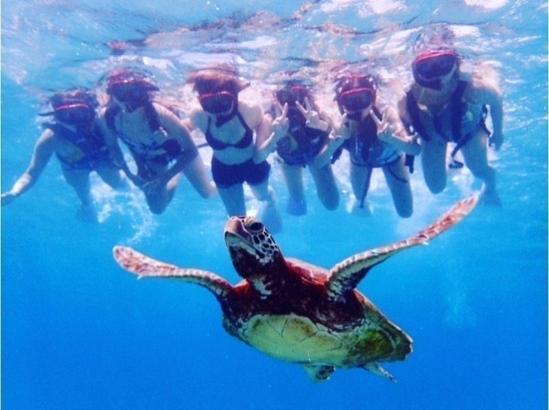 [Okinawa, Miyakojima] Sale in progress! Rapidly gaining popularity among women and children! Sea turtle coral reef and tropical fish snorkeling and mermaid photo at a spectacular beachの紹介画像