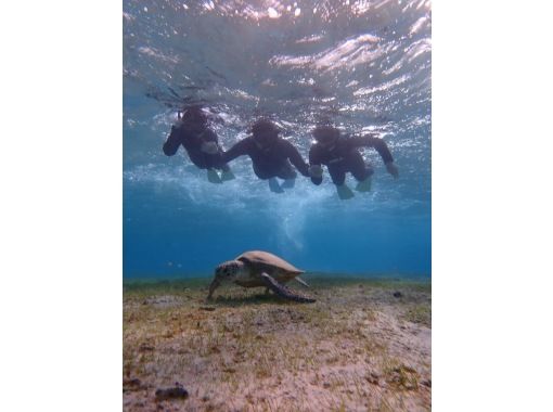 沖縄宮古島 2歳半 感動体験 ウミガメと一緒に泳ぐシュノーケリング 約一時間半のコースです アクティビティジャパン