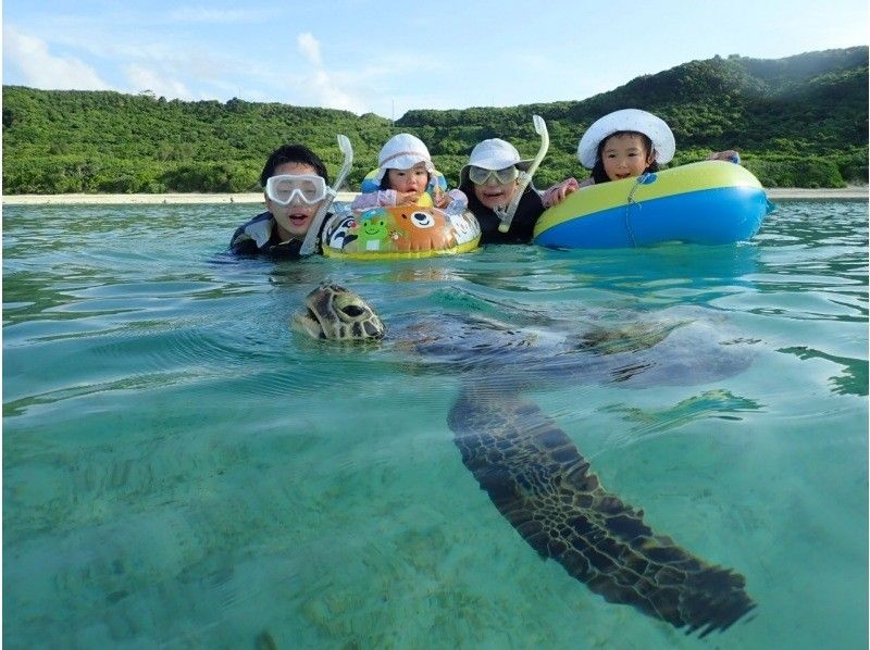 【沖縄・宮古島】驚異の遭遇率100%！ウミガメと大接近できるシュノーケリング！船酔い無!３歳～ok♡水中カメラ無料レンタル可♡写真動画無料の紹介画像