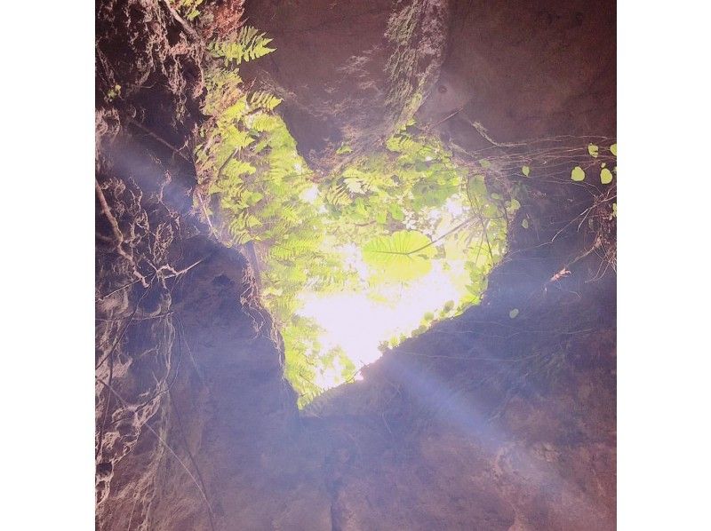 [โอกินาว่า / เมืองอุรุมะ] ถ้ำหินปูนลึกลับที่คุณสามารถสนุกได้ง่ายๆ! เคฟโอกินาว่าの紹介画像