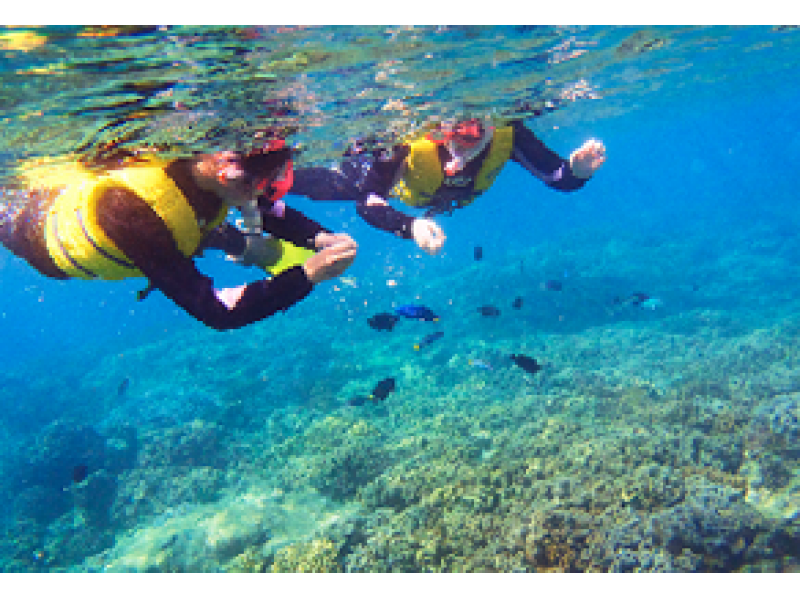 [Okinawa-Chatan] Boat snorkel / off Alaja Beach Parasailing ☆ underwater Photography service & feeding experienceの紹介画像