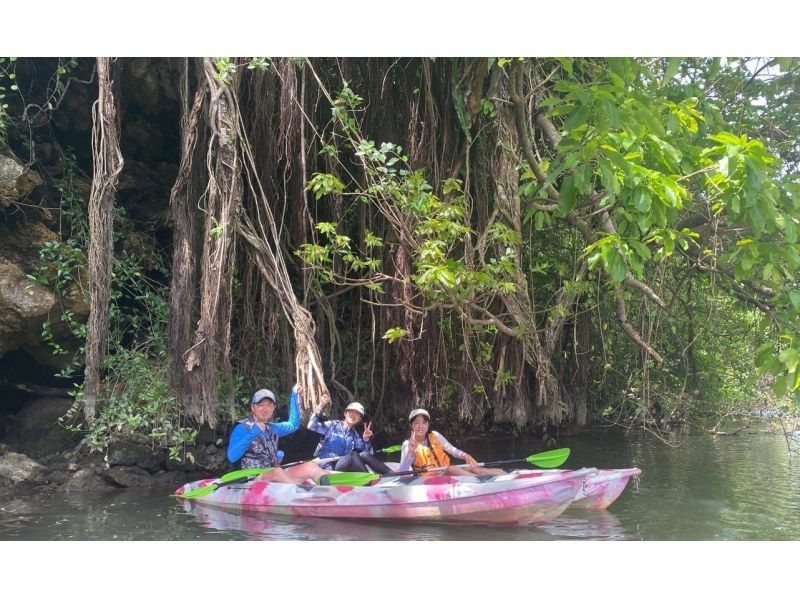 SALE [For groups of 4 or more] [Mangrove Kayaking] Comfortable new facility! Hot shower and hair dryer available! Free photo data! Children welcome!の紹介画像