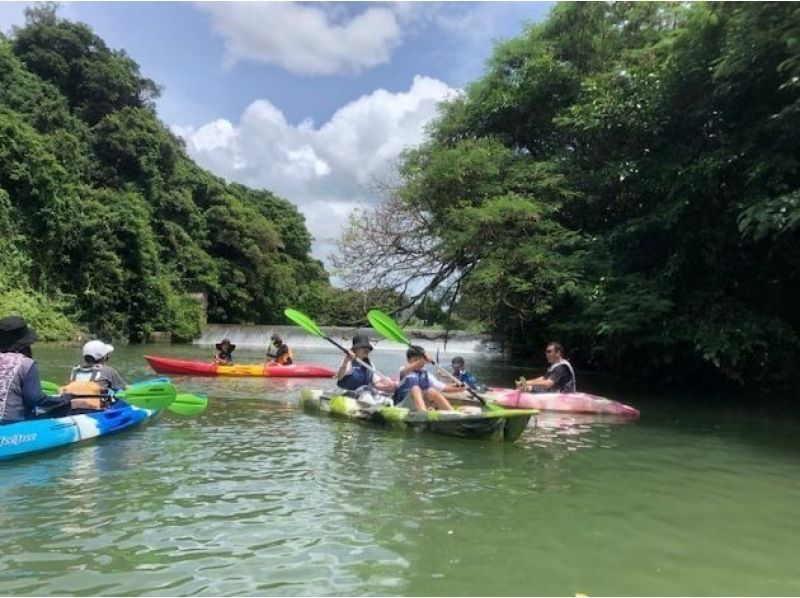 SALE [For groups of 4 or more] [Mangrove Kayaking] Comfortable new facility! Hot shower and hair dryer available! Free photo data! Children welcome!の紹介画像