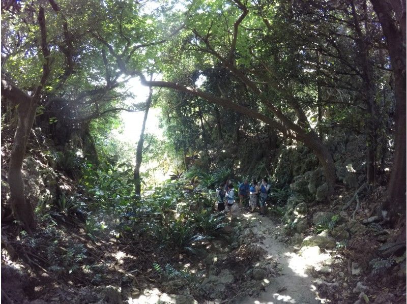 【沖縄・備瀬】★期間限定★ワルミ上陸ツアー（SUP・シーカヤック）の紹介画像