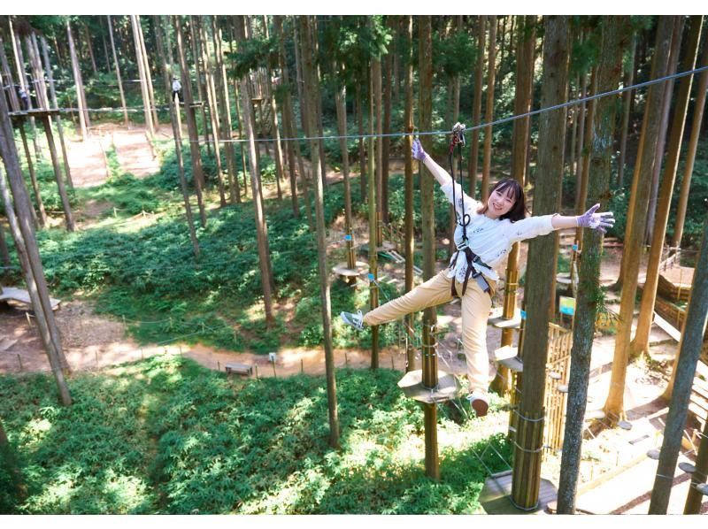 Have fun in the forest in Shiga Prefecture! A dynamic adventure course (for ages 10 and up) [Forest Adventure, Ritto]の紹介画像