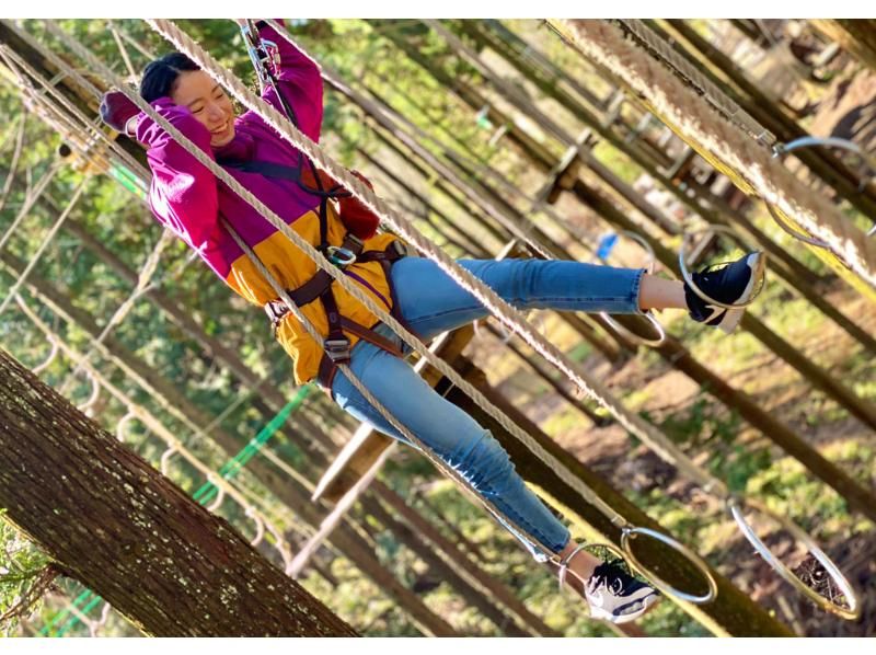 Have fun in the forest in Shiga Prefecture! A dynamic adventure course (for ages 10 and up) [Forest Adventure, Ritto]の紹介画像