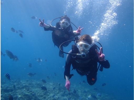 【青の洞窟】1組貸切専属ガイド付き♪体験ダイビング☆水中写真無料撮影&熱帯魚エサやり無料♪初心者も安心! 【青の洞窟】1組貸切専属ガイド付き♪体験ダイビング☆水中写真無料撮影&熱帯魚エサやり無料♪初心者も安心!