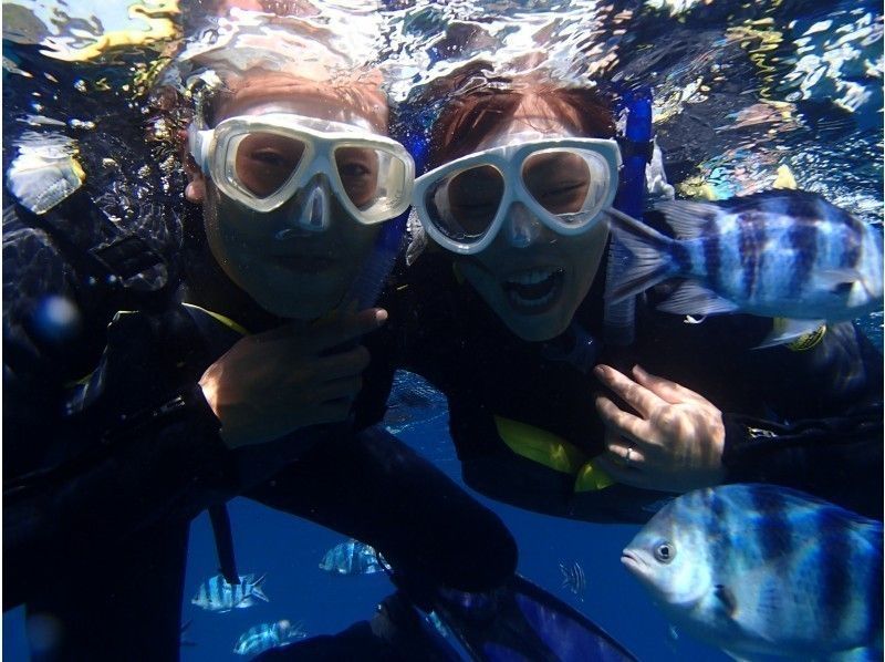 [沖縄·藍洞】★一套包機★藍洞浮潛私人旅遊（魚類餵養和攝影）の紹介画像