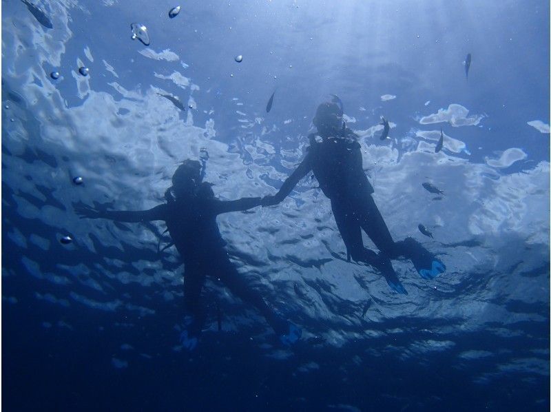 [冲绳·蓝洞】★一套包机★蓝洞浮潜私人旅游（鱼类喂养和摄影）の紹介画像