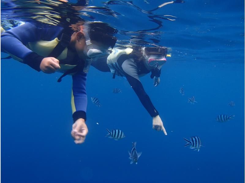 [沖縄·藍洞】★一套包機★藍洞浮潛私人旅遊（魚類餵養和攝影）の紹介画像
