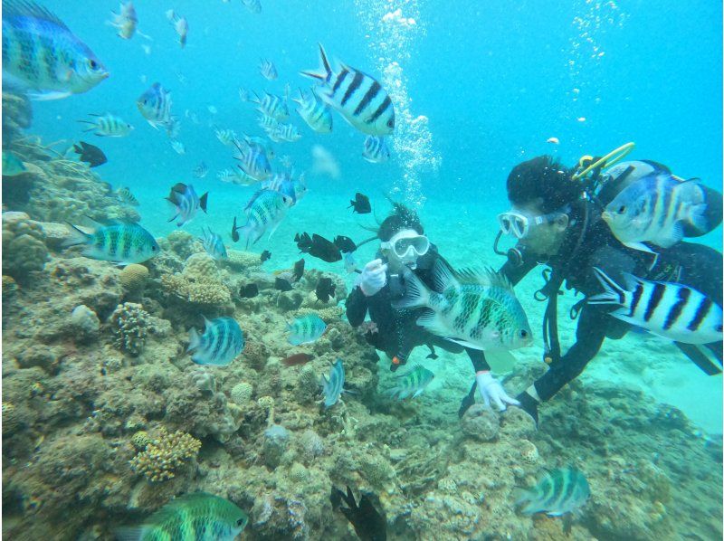 [Okinawa ・ Maeda Misaki] ★ One set charter ★ Little child from 8 years old Diving ♪ Children and authentic sea play (with food and photography)の紹介画像