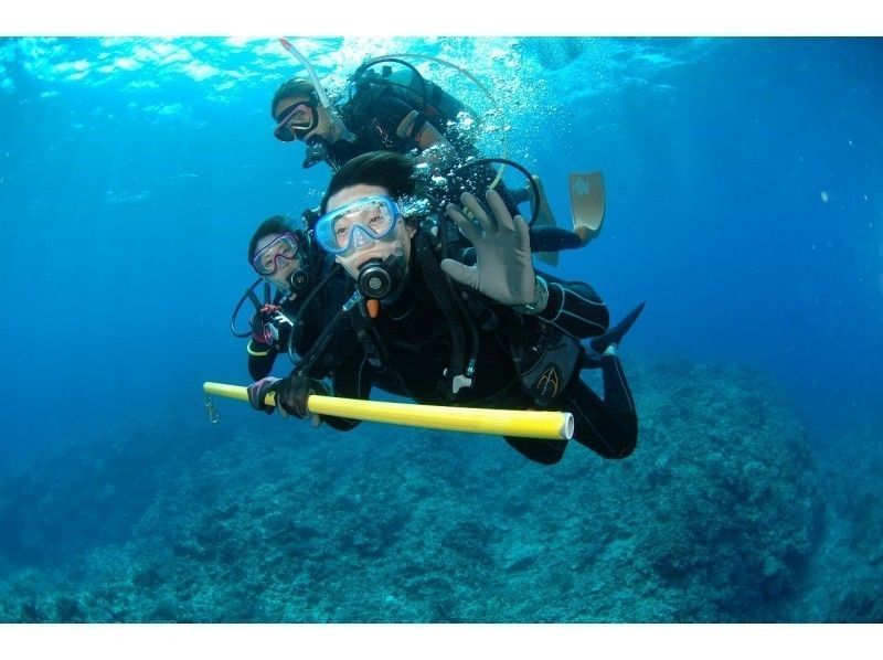 Alpha Dive Okinawa Recommended