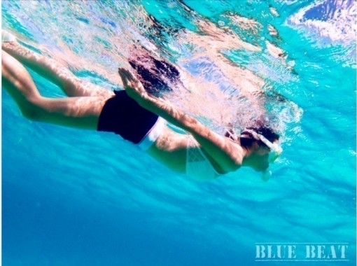 沖縄 石垣島 ウミガメシュノーケルツアー 写真 動画データつき アクティビティジャパン
