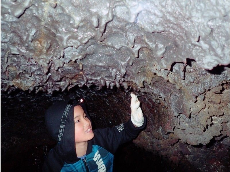[Shizuoka/ Susono] Ice cave exploration & forest walk tour