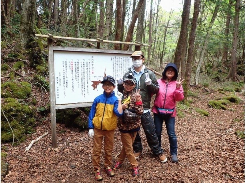 [Shizuoka/ Susono] Ice cave exploration & forest walk tourの紹介画像