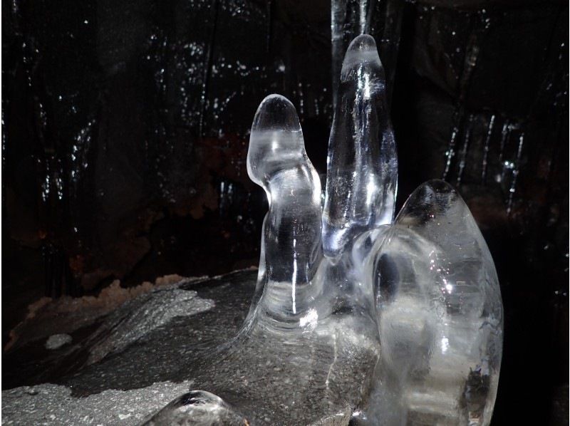 【静岡・裾野】氷穴探検＆森のさんぽツアーの紹介画像